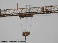 Imagine atasata: Vivalia - Bulbuca - 2015.12.06 - 04.jpg